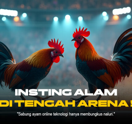 Mengenal Jenis Ayam Aduan dalam Sabung Ayam SV388