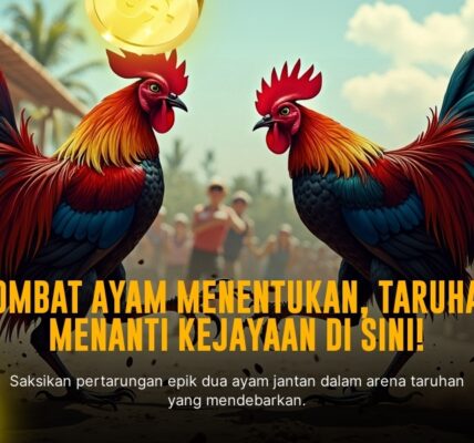Gagal Paham? Inilah Rahasia Ayam Bangkok di Sabung Ayam SV388