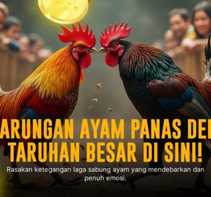 Laga Panas SV388: Mengulik Jenis Ayam Aduan dan Odds Sabung Ayam Online