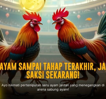 Mengenal Jenis Ayam Aduan Sabung Ayam SV388 yang Populer