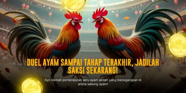 Mengenal Jenis Ayam Aduan Sabung Ayam SV388 yang Populer